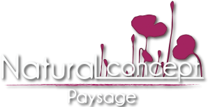 Natural Concept