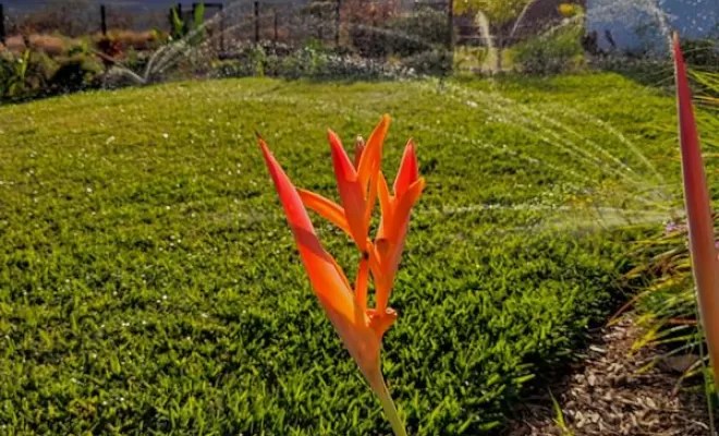 Entretien de jardins, Saint-Leu, MakinGarden